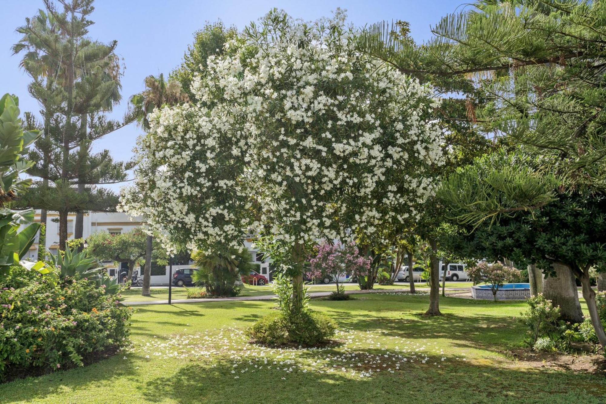 Willa Casa Adriana Marbella Zewnętrze zdjęcie